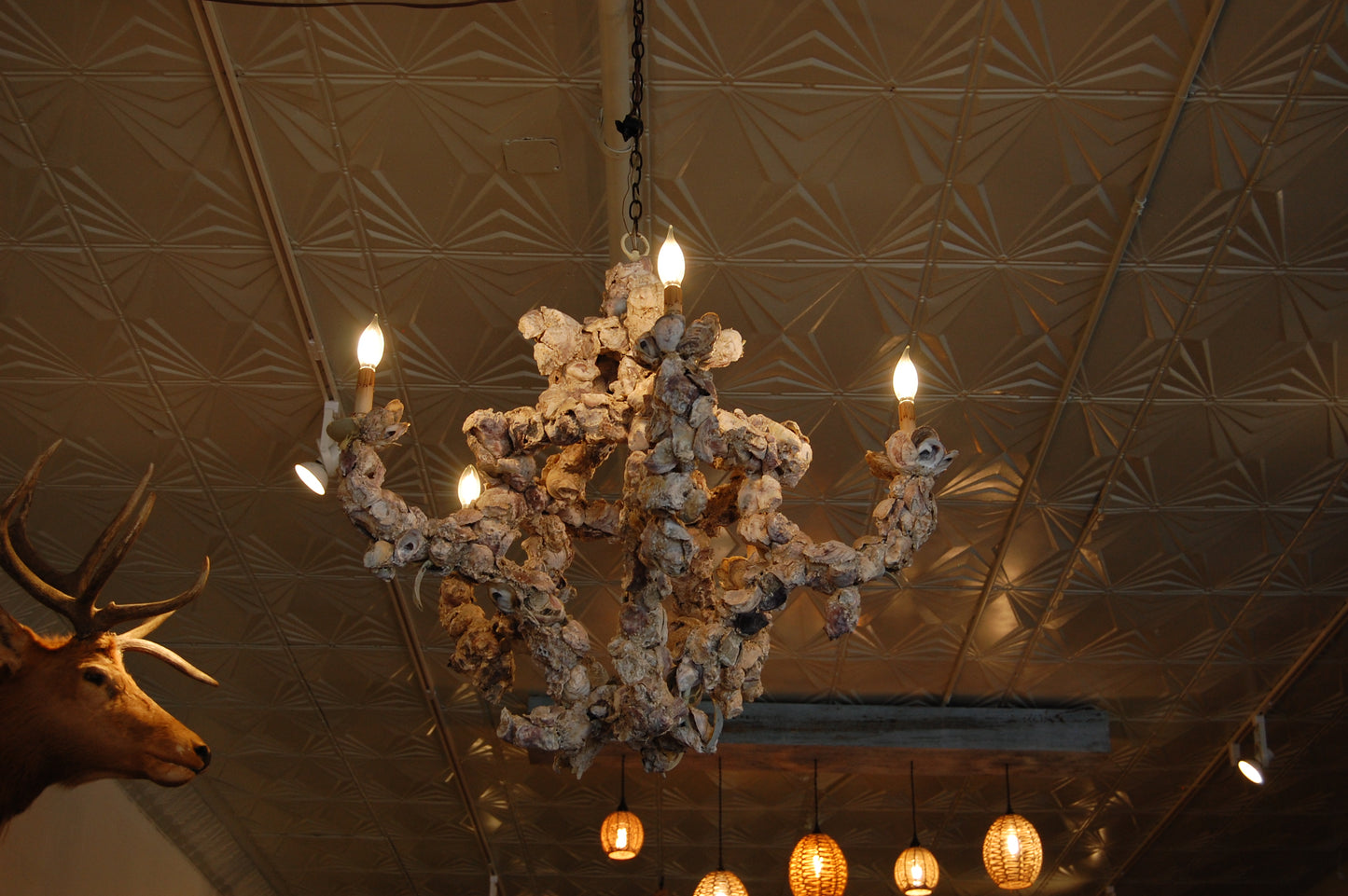 Oyster Light Fixture
