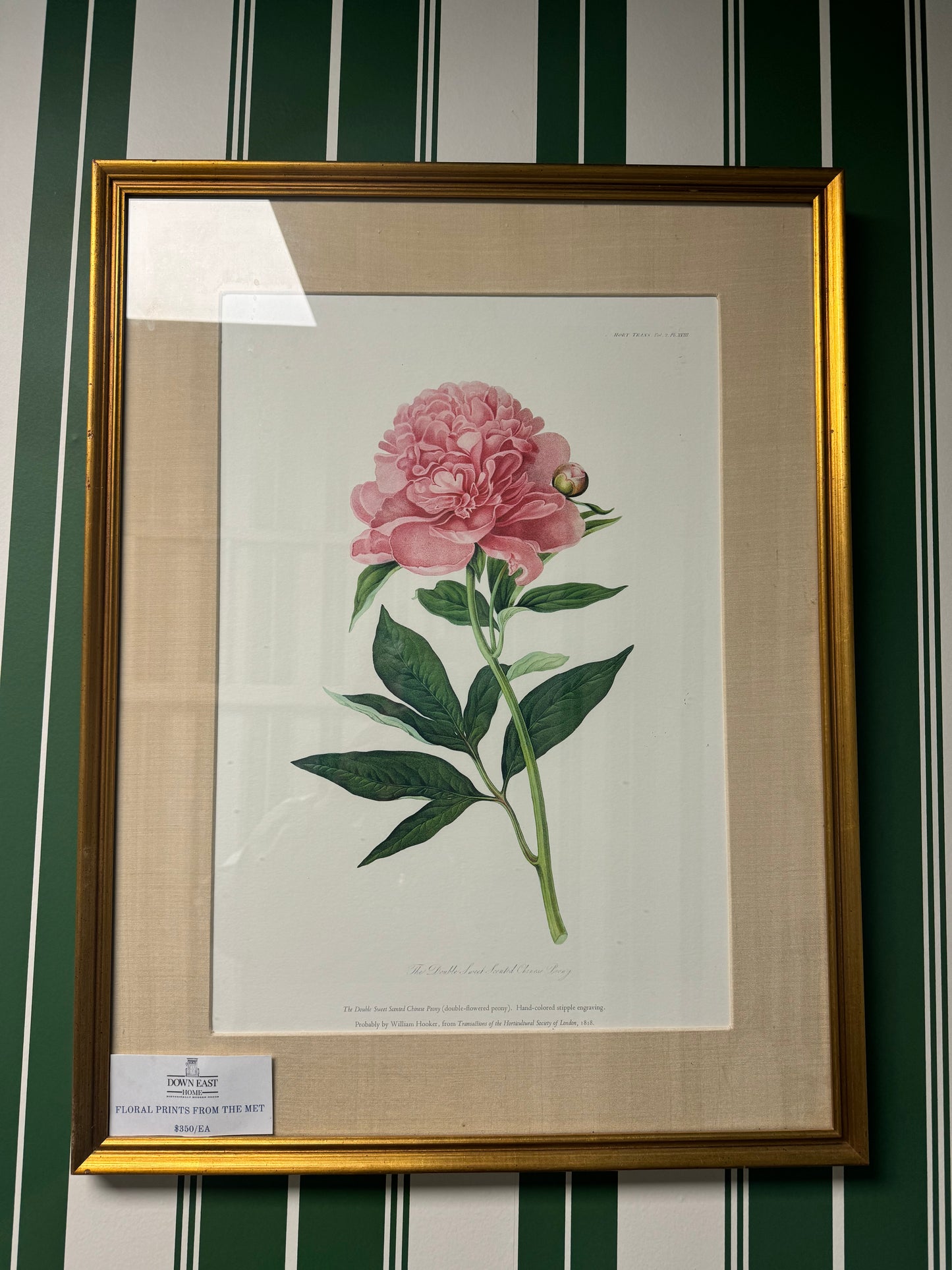 Botanical Prints from the Met Gala