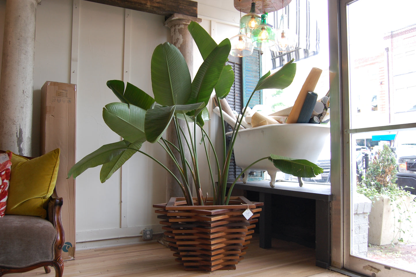 Wooden Planter (Plant Included)