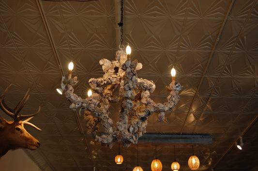 Oyster Light Fixture